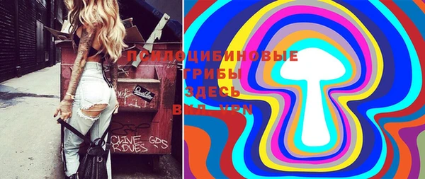 каннабис Богородицк