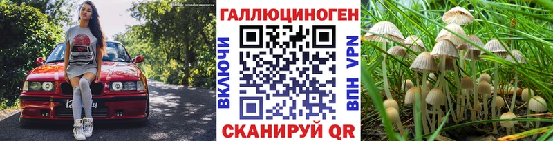 Псилоцибиновые грибы мухоморы даркнет сайт Волчанск